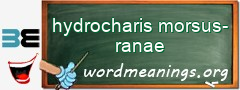 WordMeaning blackboard for hydrocharis morsus-ranae